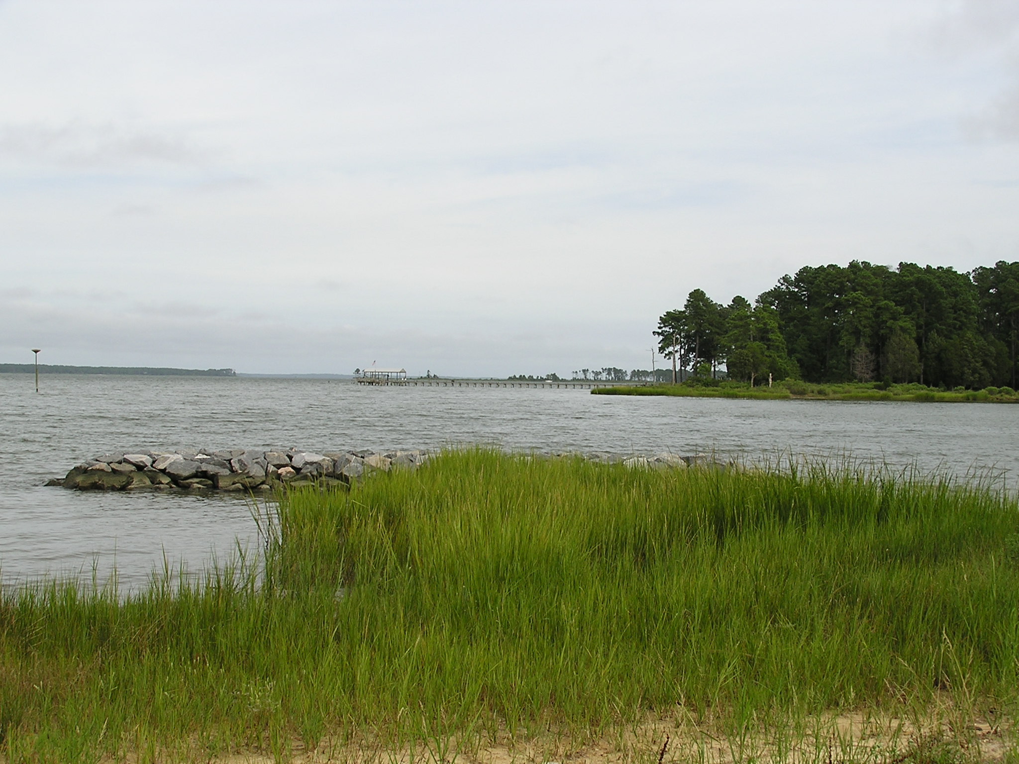 Planted Breakwater